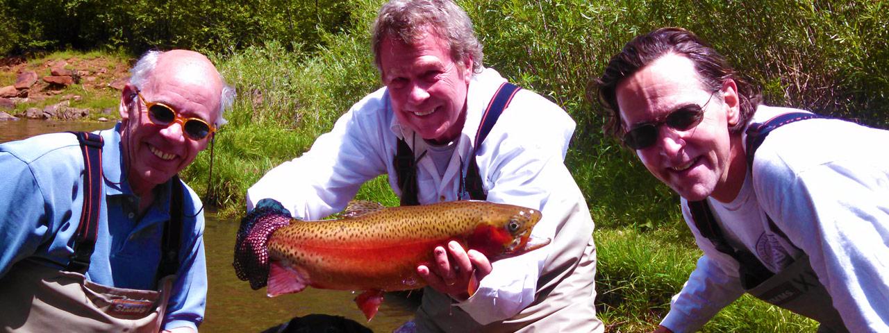 Colorado Trout